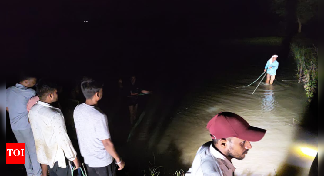 The Times of India - Entertainment - News Image