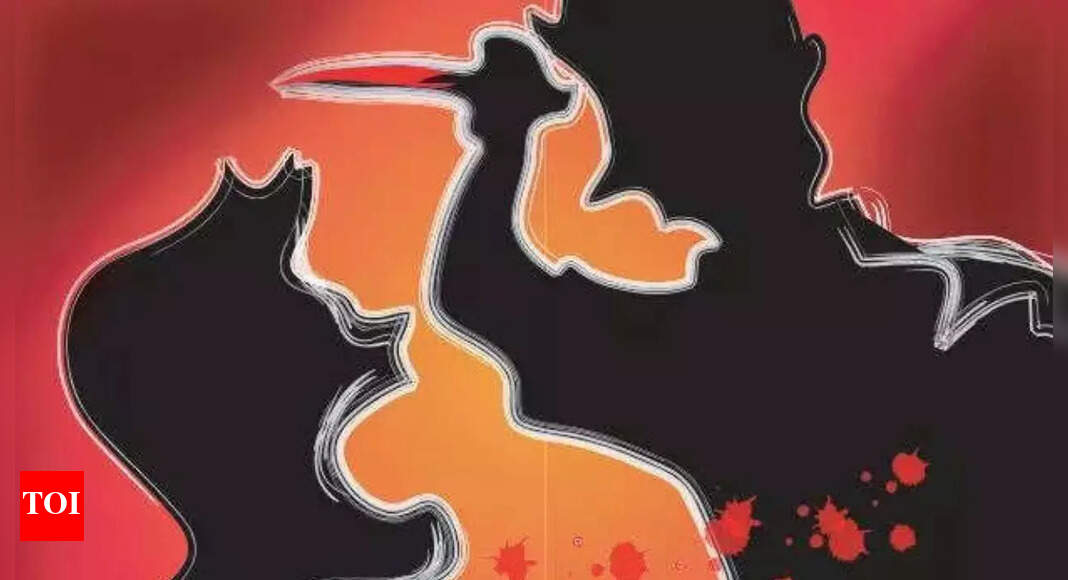 Best friends turned enemies: West Delhi men stab each other to death ...