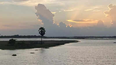  Sri Lankan documentary wins Satyajit Ray Bronze Award