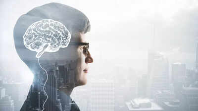 You have three brains, not one; here’s what that means for your decision-making
