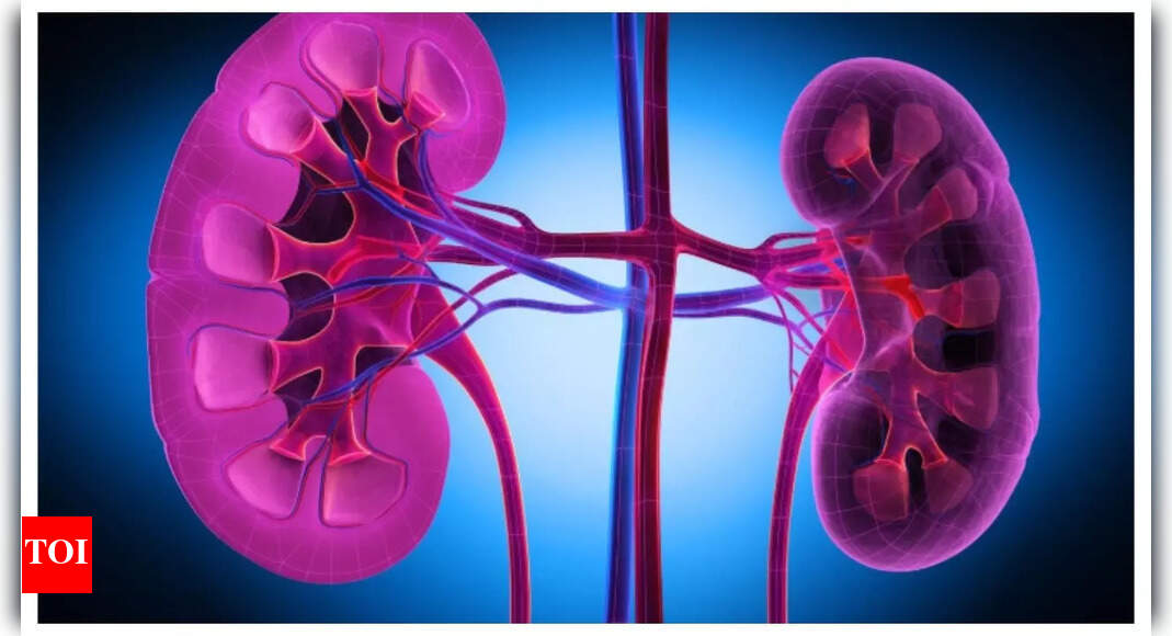 Kidney Stone Symptoms: What are the main causes of kidney stones and early signs that may indicate small stones | – Times of India