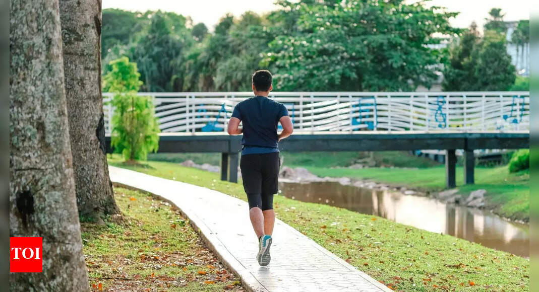 The real reason behind morning walks: It’s not fitness, it’s hormones | – Times of India