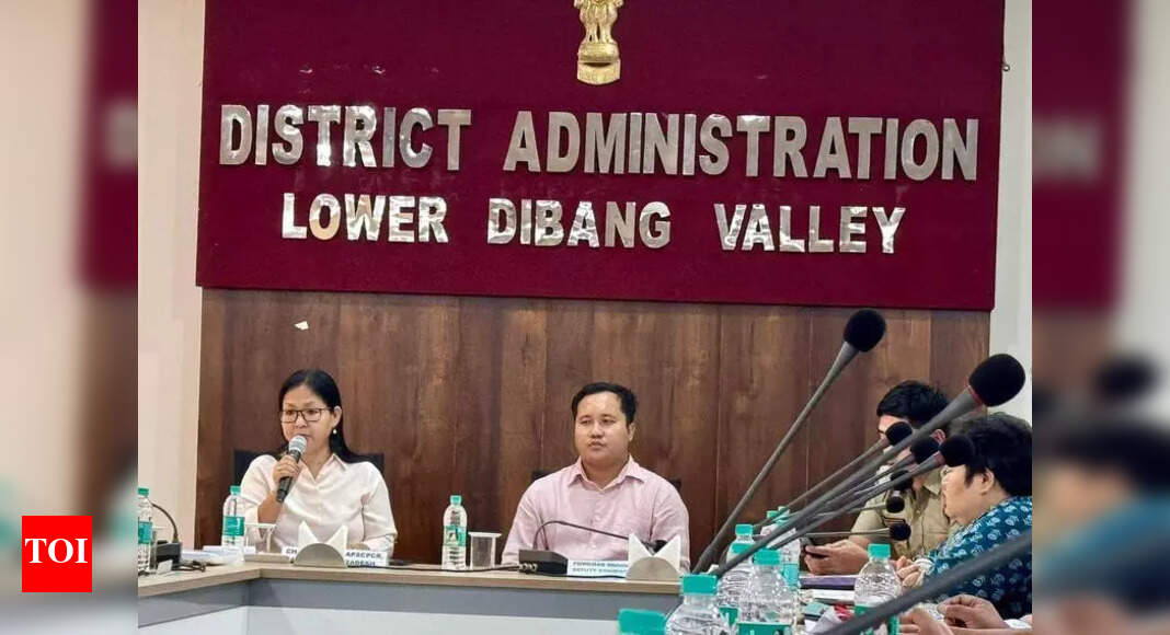 The Times of India - Politics - News Image