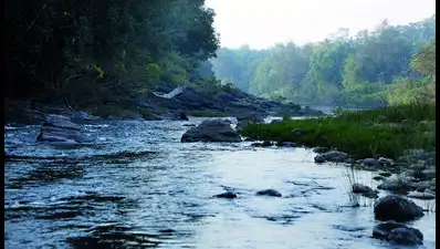 Greens call for protection of Goa’s unique lateritic plateaus