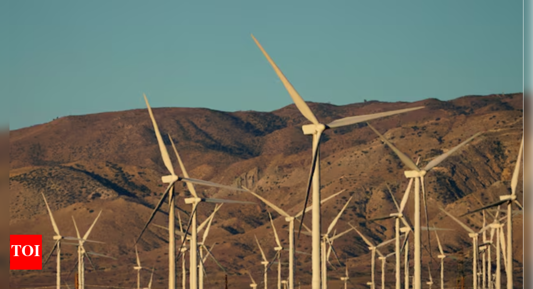 Clean energy sources make up 50% of India’s generation capacity