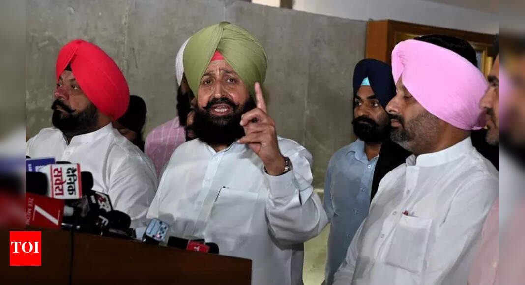 The Times of India - Politics - News Image