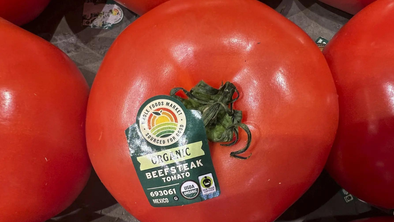 Trump tariffs: US slaps 17% duty on Mexican tomato imports; commerce  department calls move fair protection for farmers - Times of India