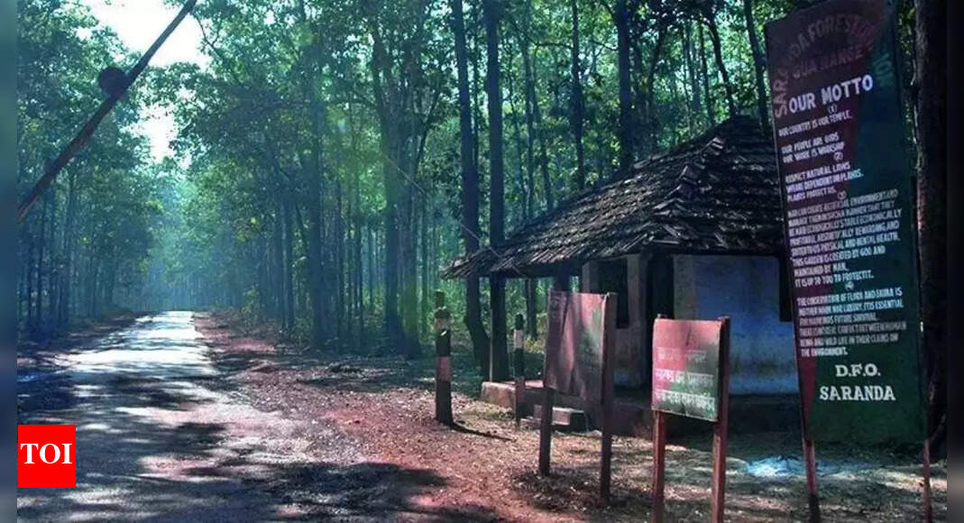 Maoist mines turn Saranda's forest into jumbo killing fields
