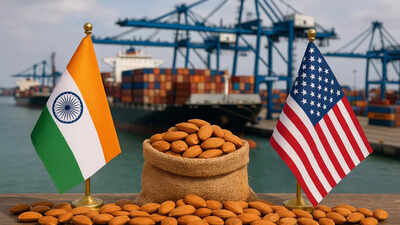 India-US trade deal: Why Indian importers are delaying customs clearance of American dry fruit; ‘opting to pay penalty because…’