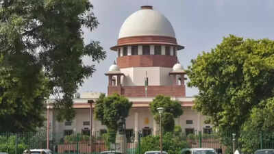 ‘Why don’t you feed them at home?’ SC pulls up Noida man over feeding stray dogs; flags safety risks