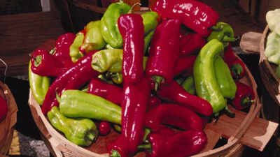 Are spicy foods good for your health? Science-backed benefits of chilli peppers and capsaicin