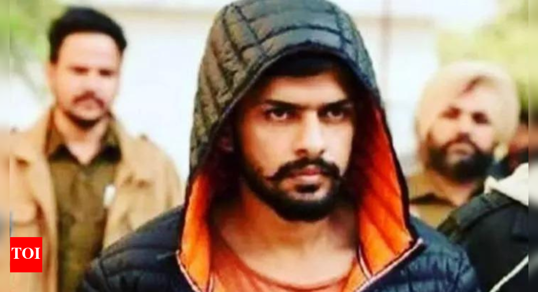 'Dismantle this network': Canada's Alberta province seeks terror tag for Lawrence Bishnoi gang; follows suit from British Columbia - Times of India