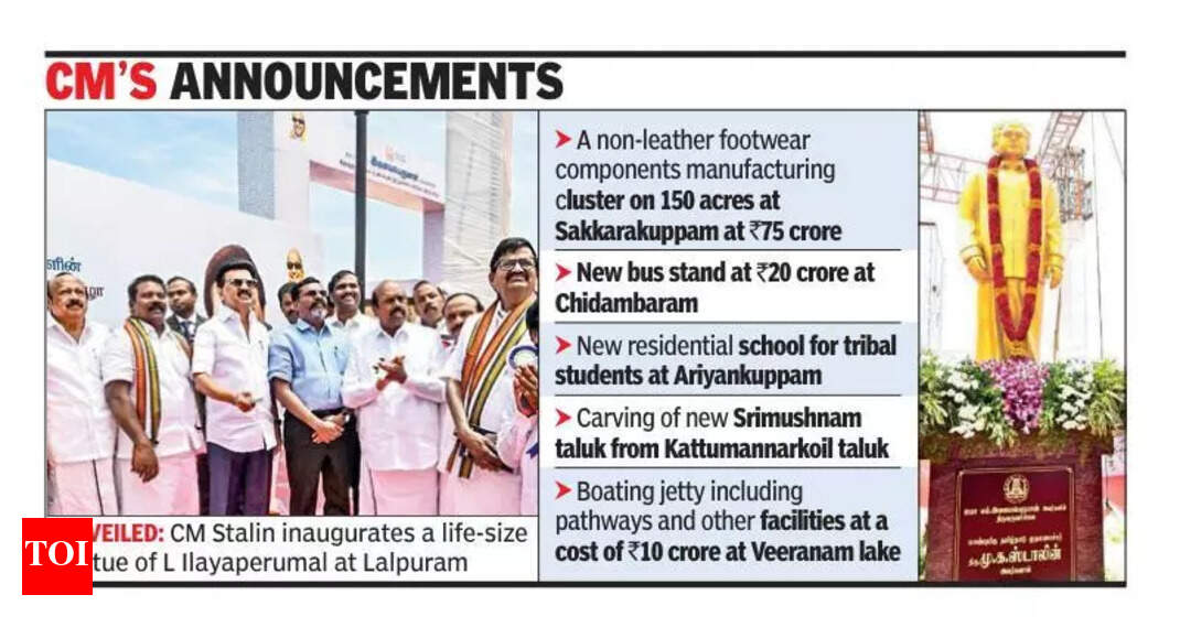 The Times of India - Politics - News Image