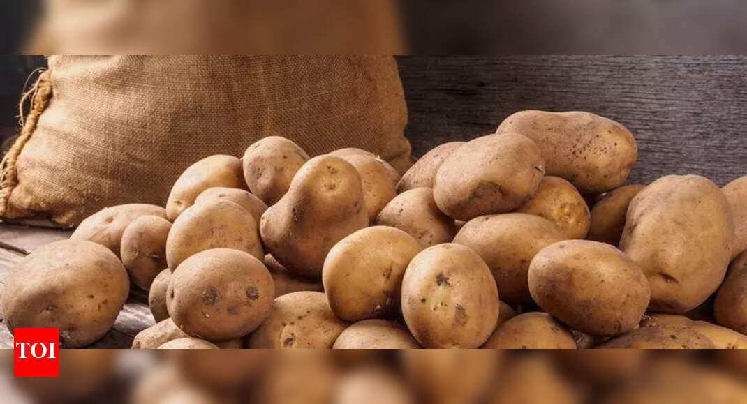 The Times of India - Business - News Image