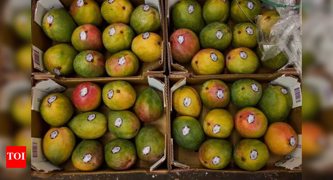 The Times of India - Politics - News Image