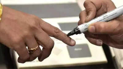  Contact voters individually to complete forms under SIR - Election Commission
