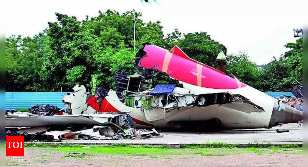 AI crash report: International pilots body warns against guesswork