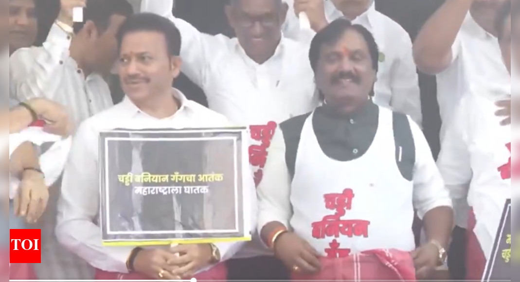 'Chaddi-baniyan gang': Opposition stages unique protest against Shiv Sena MLAs 