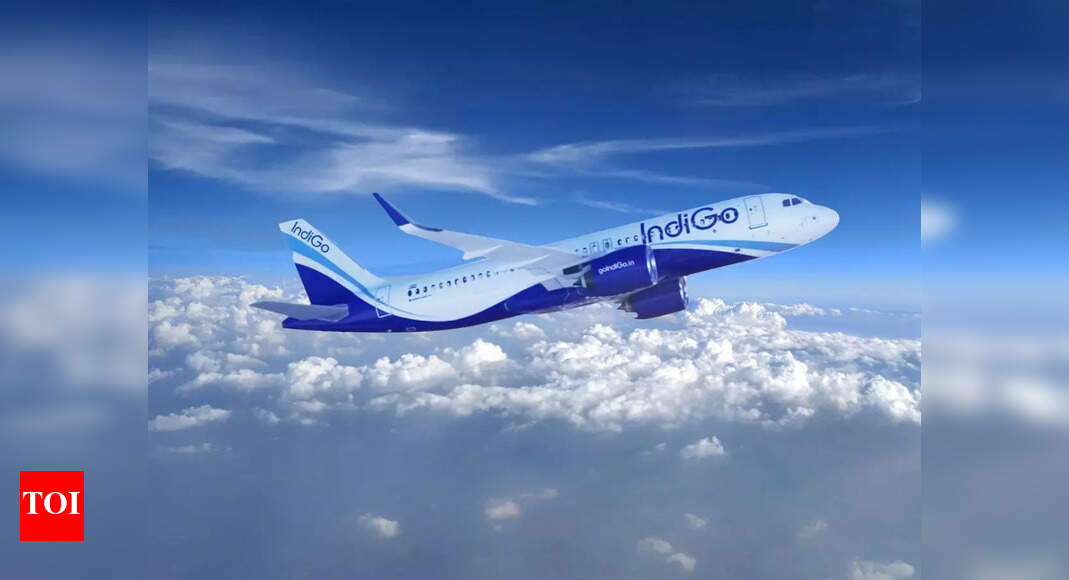 IndiGo Delhi-Patna flight aborts landing: Go-around executed after unstable approach; passengers safe | India News - Times of India