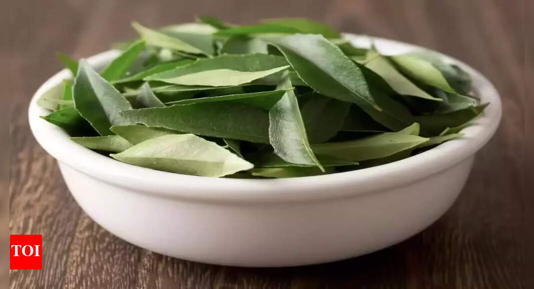 Curry Leaves: 10 powerful health benefits, medicinal uses and how to consume them | – Times of India