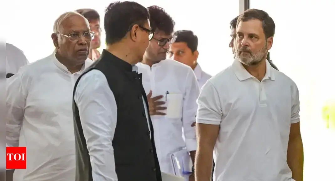 'No anti-national statements': Rijiju's advice to Rahul over foreign policy remarks