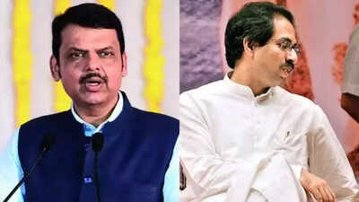 'Uddhav ji can come to the ruling side': Fadnavis offers, says BJP not going to be in opposition 'at least till 2029'