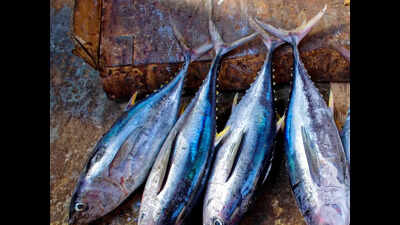To revive angling, Arpora p’yat announces fishing competition