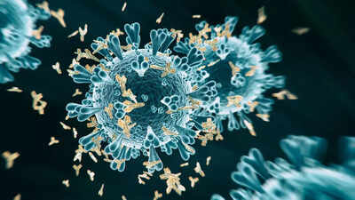 All about the 'Nimbus' and 'Stratus', the new COVID variants monitored closely by WHO
