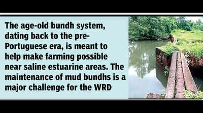 Divar bundh set to finally be fixed, will stave off flooding