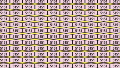  Test your IQ level by finding out the number ‘5131’ in this optical illusion