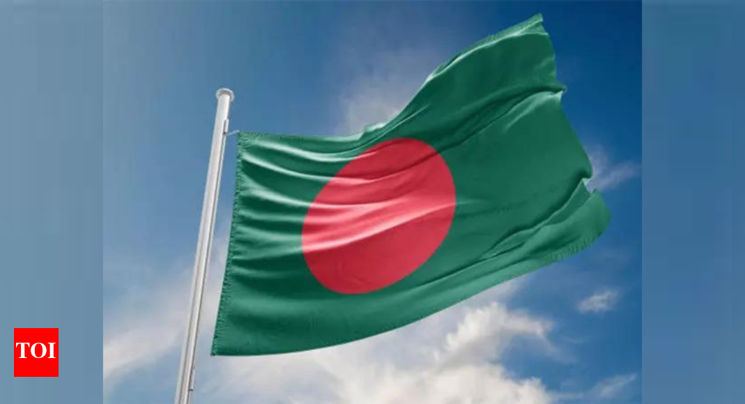 India violating pacts, carrying on push-ins, says Bangladesh
