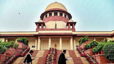 Supreme Court reverses custody order after child has a mental breakdown