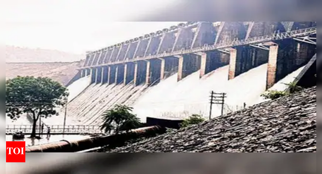 Krishna water tribunal gets a year's extension from August 1