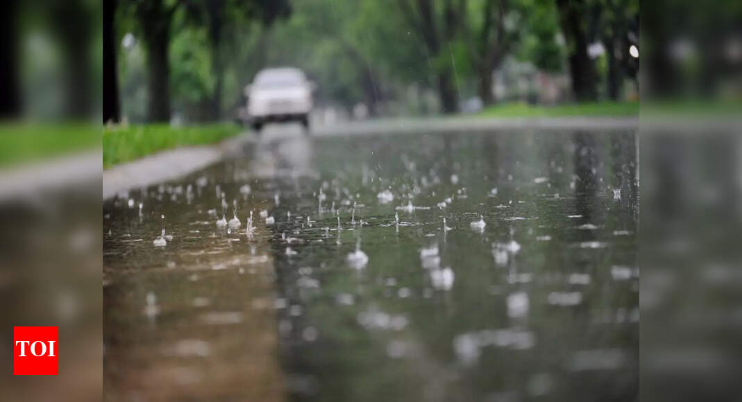 Delhi weather: Warm day rain and humidity expected