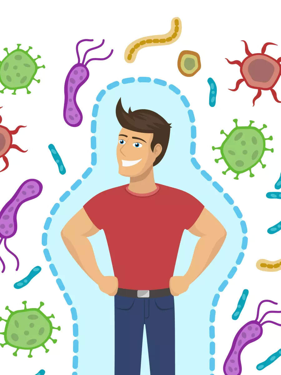 9 superfoods to boost immunity – The Times of India