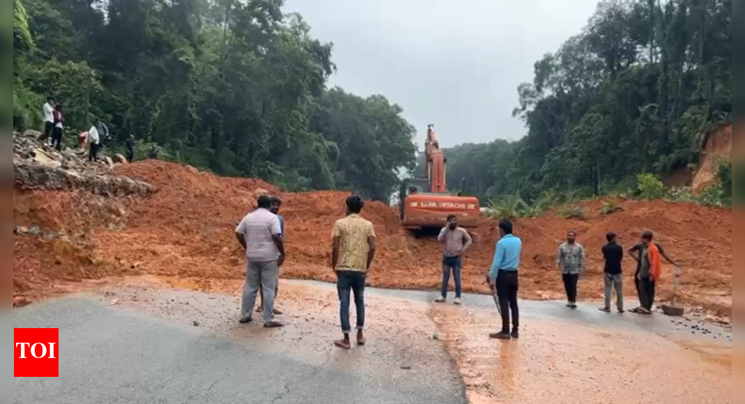 Heavy rain, landslide halt traffic on Mangaluru-Bengaluru National Highway