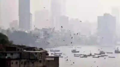 Many areas cross safe pollution limit, says report