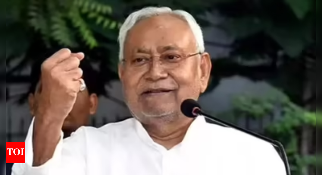 Bihar poll gambit: Nitish promises 125 free power units; opposition cries 'copycat'