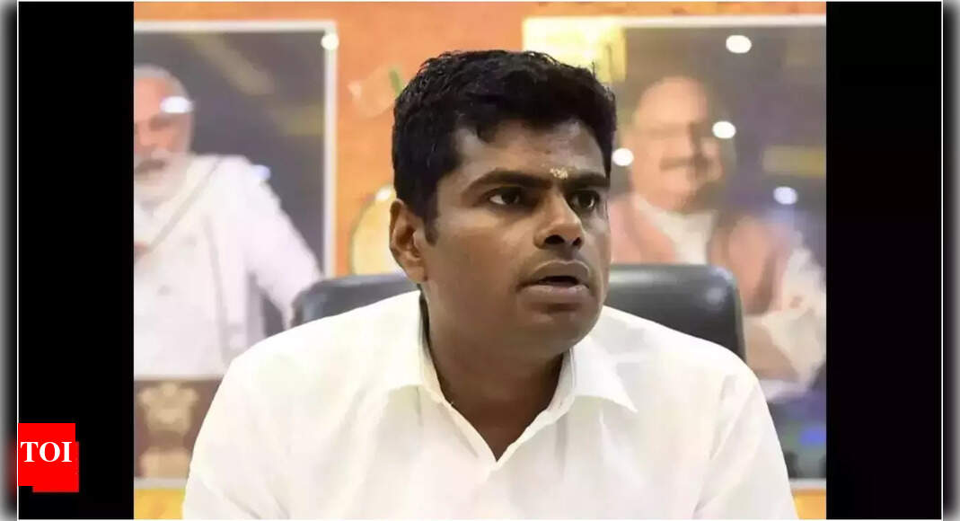 Tamil Nadu elections: BJP confident of coalition govt, says Annamalai amid EPS pushback