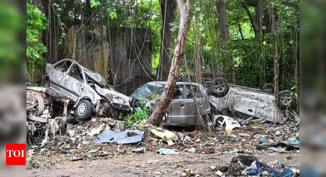 The Times of India - Other - News Image