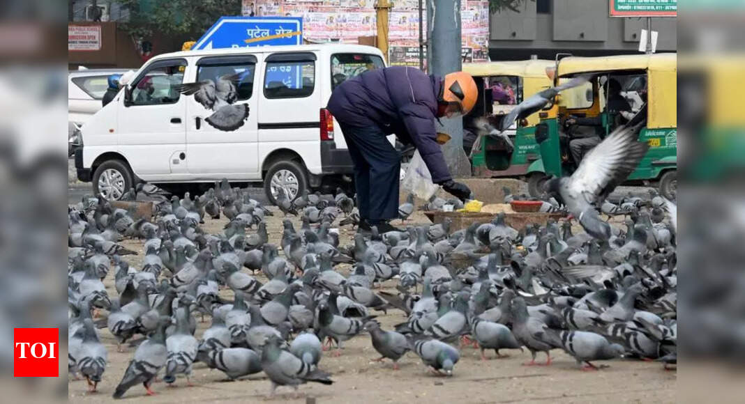 The Times of India - Politics - News Image