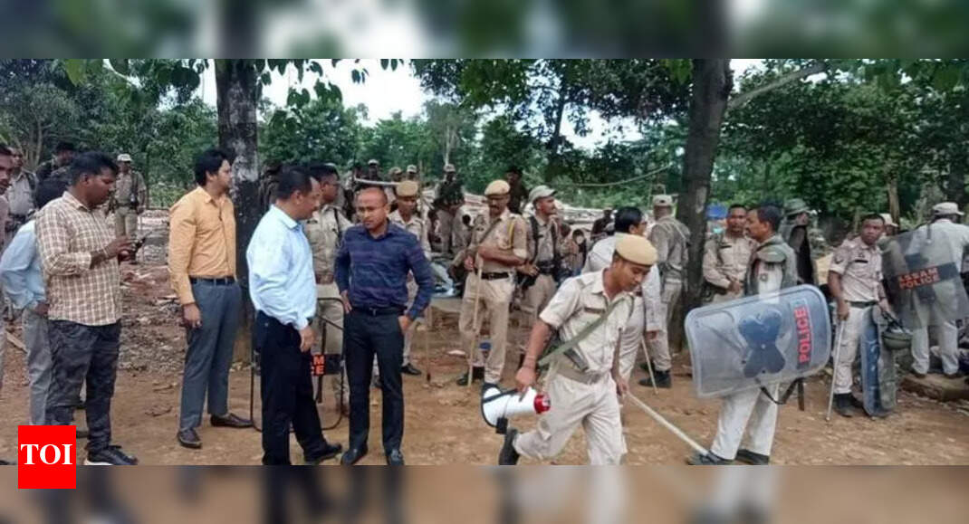 The Times of India - Politics - News Image