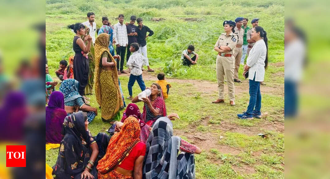 The Times of India - Politics - News Image