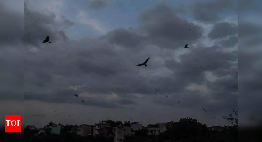 The Times of India - Other - News Image