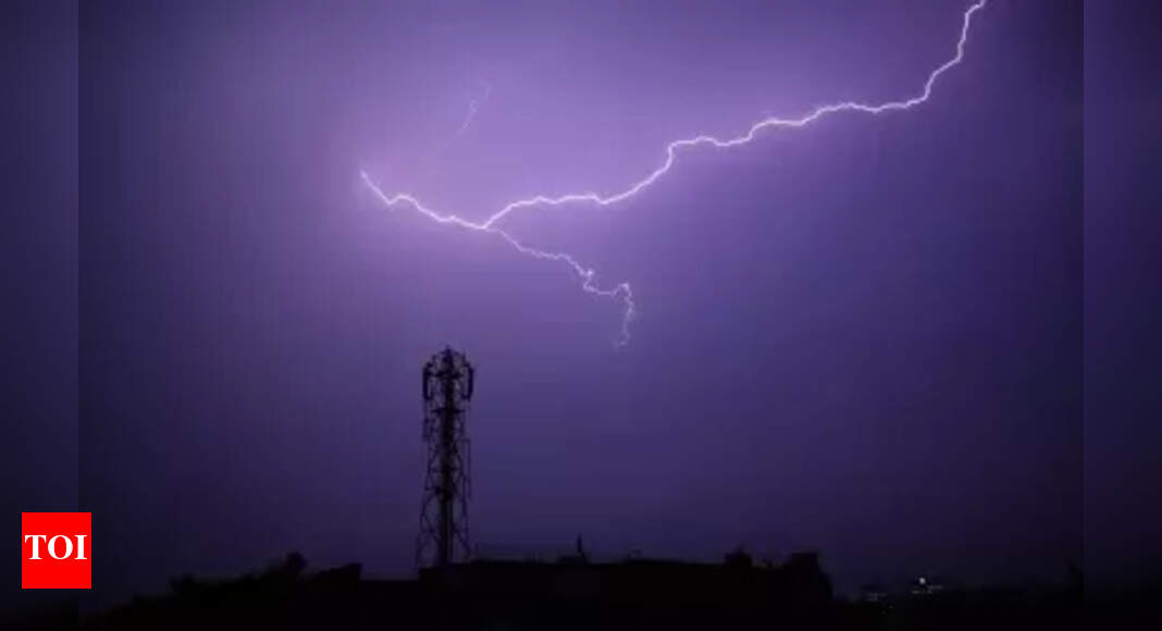 Lightning kills 19 in 24 hours in Bihar