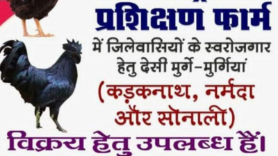 Madhya Pradesh private college brands chicken breed 'Narmada', sparks row; Brahmin community warns of stir