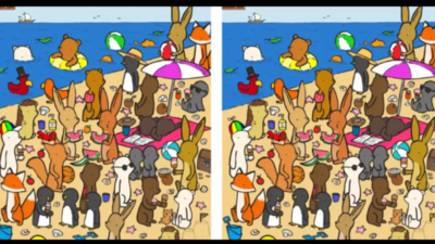 credit: Gergely Dudás - Dudolf Optical illusion challenge: Spot the hidden cheese slice on this beach in under 10 seconds!