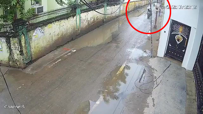  New footage shows gunmen celebrating mafia-style hitjob on streets - Watch