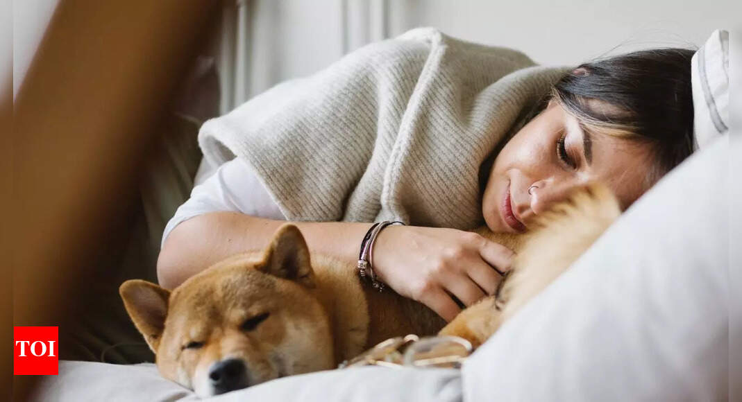 Should you let your dog sleep in your bed? The truth, according to pet behaviour experts |