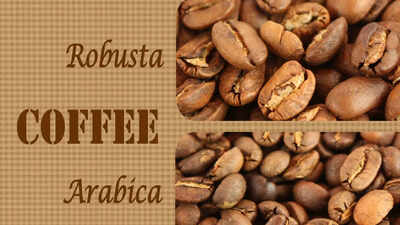 Robusta vs Arabica: What is the difference between these coffee types?